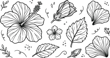 Tropical hibiscus flower botanical design element doodle set exotic floral blossom leaf line art vectors © Sabbir Studio