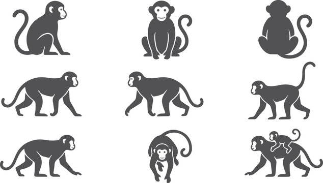 Diverse monkey poses including sitting standing and carrying baby illustrated with clean dark silhouettes on transparent grid background ideal for zoo wildlife themes.