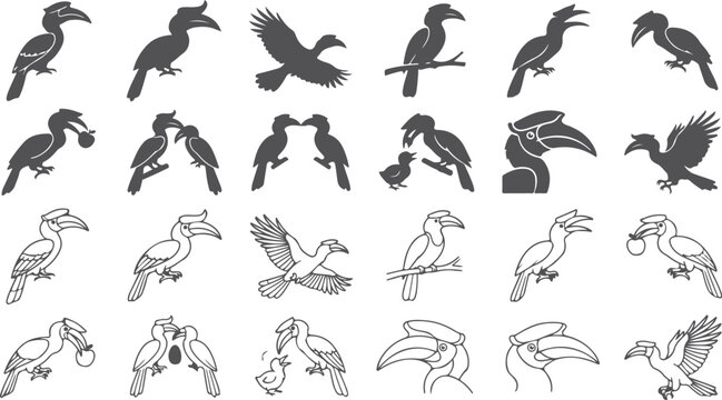 Extensive compilation of hornbill bird graphics in silhouette and line art styles depicting various actions like flying perching and feeding on transparent grid background.