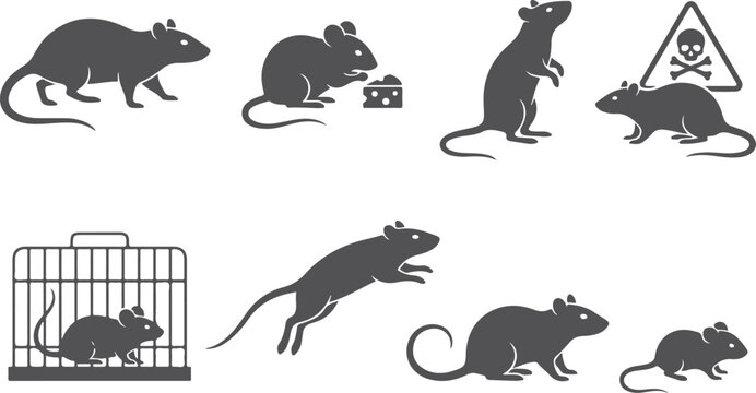 Assortment of mouse and rat graphics in silhouette form showing various activities like eating jumping in cage and warning sign on transparent grid background.
