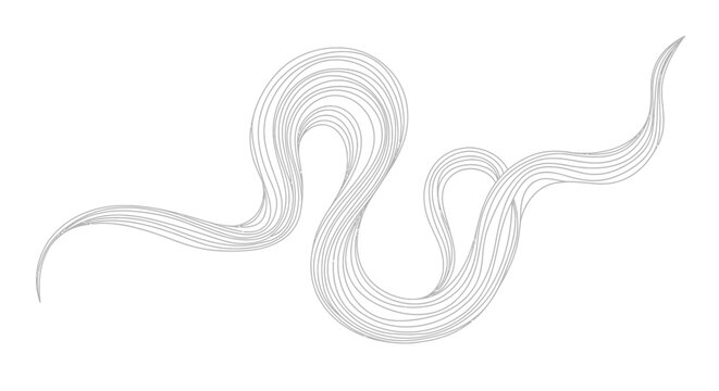 A minimalist illustration of a wavy line drawing resembling an animal or abstract shape on a white background created via artistic technique whisks dzzk1q.