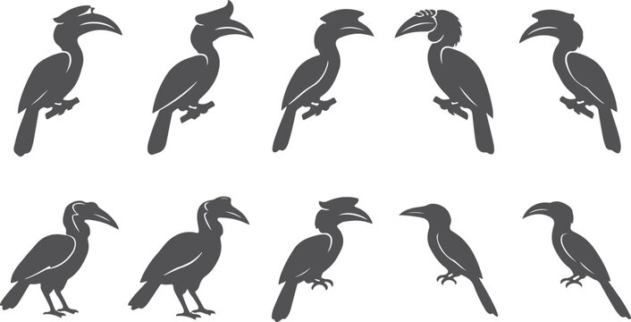 Silhouettes of hornbills various poses wild exotic birds isolated on transparent background.