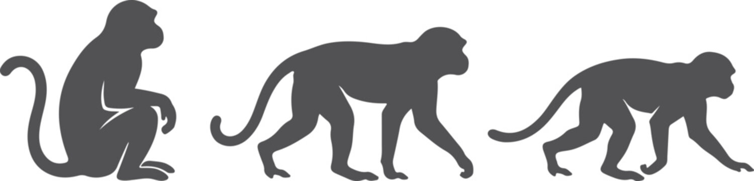 Three stylized silhouettes of monkeys in profile view walking and sitting on transparent background depicting different poses for animation or design projects.