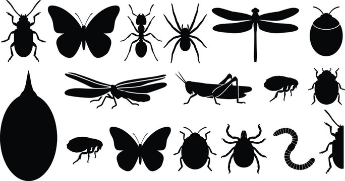 Set of black silhouettes of various insects and bugs isolated on a white background for design projects