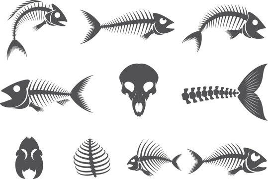 Assortment of fish skeletons and animal skull icons in dark grey on transparent grid vector art.