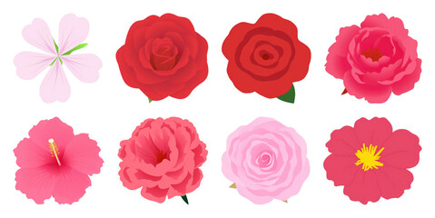 Obraz premium PNG Vibrant floral vector collection on transparent background