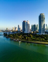 Naklejka premium Modern Coastal Skyline Rising Along Palm Lined Waterfront Under Clear Blue Sky