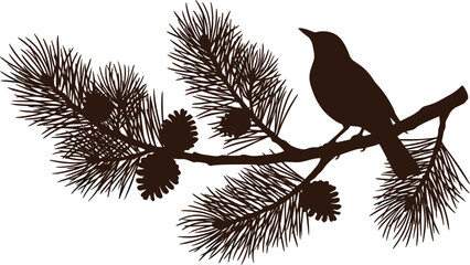 Bird silhouette sitting on a pine tree branch with pinecones vector illustration isolated on white background © Mahsina