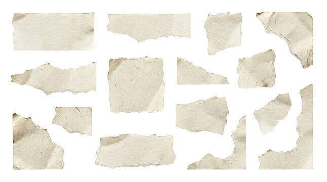 Set of various torn paper pieces isolated on transparent background