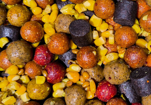 A carp fishing bait mix comprising various types of boilies, pellets and dipped seeds