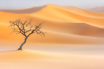 Fototapeta premium Lone Tree in Desert Landscape with Sand Dunes and Clear Sky during Bright Sunlight