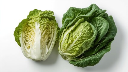Fototapeta premium Napa and Michihli Chinese cabbages with fresh leaves on a plain white background.