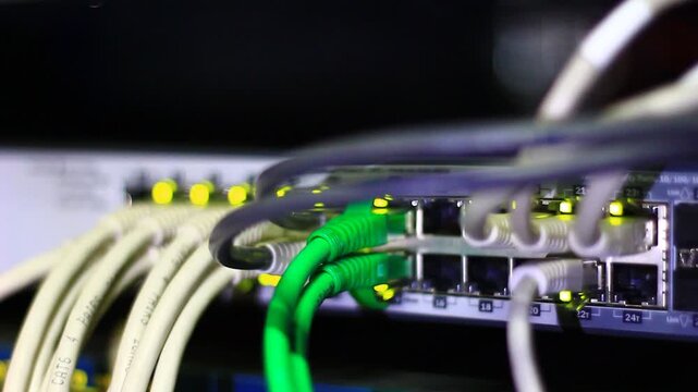Ethernet cables close up. 10/100/1000 Mbps speed. 