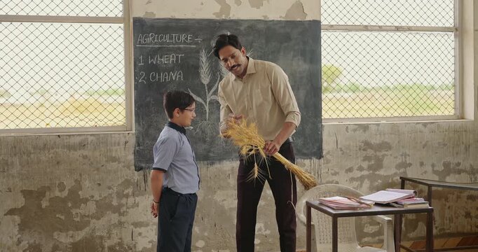 Indian young adult male man standing at class room hold dry grass crop bundle learn lesson rural area. Teen boy child wear uniform do casual study work look wheat plant tutor talk speak day time place