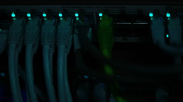 Ethernet cables close up. 10/100/1000 Mbps speed. 