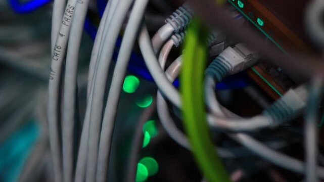 Ethernet cables close up. 10/100/1000 Mbps speed. 