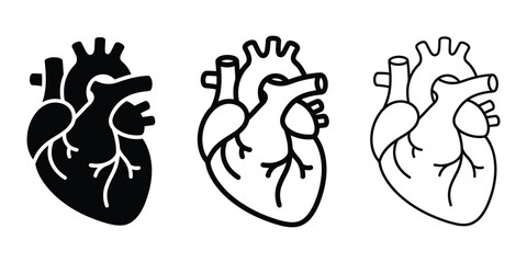 Fototapeta premium Human heart icon silhouette vector, bold outline and line art design