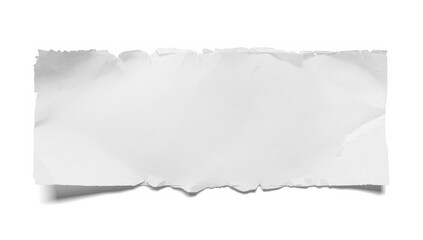 Fototapeta premium Torn white paper on a white backdrop, cutout included.