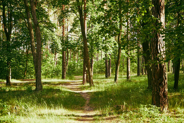 park ,wiosna  © Marcin Łazarczyk