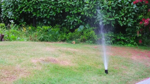 automatic sprinkler waters green lawn and bushes in garden. rotating sprinkler provides efficient irrigation for plants. modern sprinkler system saves time and keeps garden green and healthy
