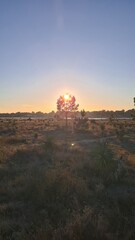 Obraz premium Coucher de soleil sur le beau paysage dunaire de la flèche du Mimbeau (presqu'île du Cap Ferret)
