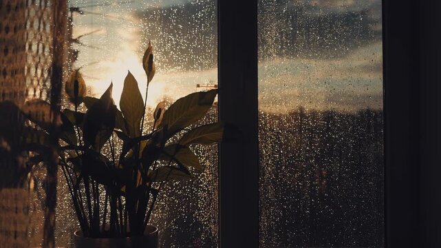 Golden sunset light streams through a rainy window with wet drops on a glass pane in a cozy dark room. Sunset, rain, window, glass, drops, cozy, light, mood, warmth, shadow, evening.