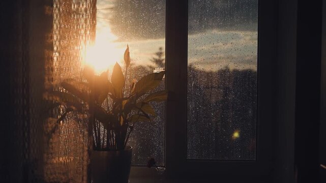 Golden sunset light shines through a wet window with rain drops on a glass pane in a cozy dark room. Sunset, rain, window, glass, drops, cozy, light, mood, warmth, shadow, evening.