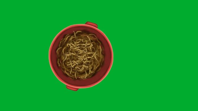 2d animation Worms inside bucket container top down view close up layout animation on green screen. Red plastic bowl full of crawling brown earthworms bait maggots for fishing sport or biology