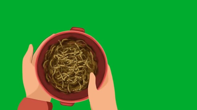 2d animation Hands holding bowl full of earthworms or maggots bait from top view animation on green screen. Human arms offering red plastic container with crawling brown worms for fishing sport