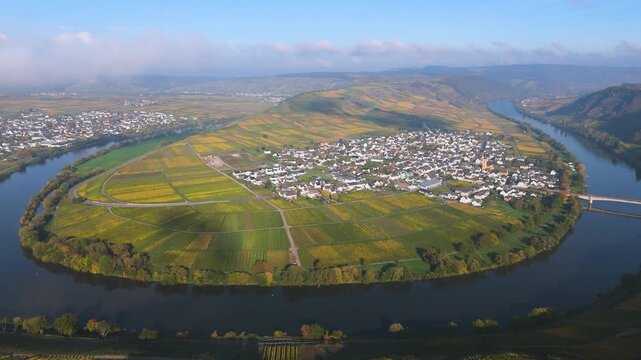 Trittenheim, Moselle Valley with loop of Mosel river, aerial view, riesling wine growing on vine, vineyard landscape in autumn, agriculture in Germany