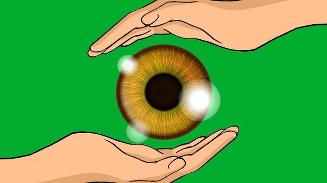2d animation Hands cupping eye iris organ lovingly against a clear background layout animation on green screen. Open human palms protecting brown realistic eyeball lens representing vision health