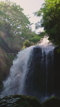 木漏れ日と光芒が降り注ぐ新緑の黄牛の滝 大分