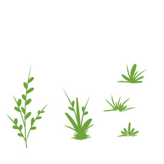 Fototapeta premium Grass in the garden