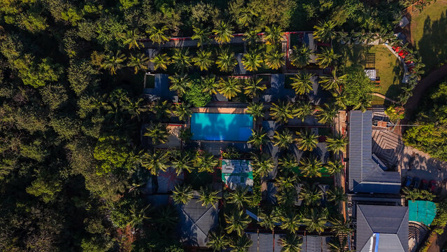 Aerial view of a luxury resort featuring a bright blue swimming pool surrounded by lush palm trees and dense tropical forest in Guhagar, Maharashtra, India.