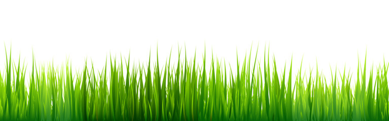 Obraz premium Meadow silhouette with green grass, plants on plain. Panoramic summer lawn landscape with herbs, various weeds. Herbal border, frame element. Black horizontal banners. Vector illustration