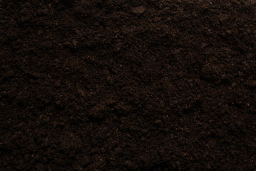 Fototapeta premium Black land for plant background.