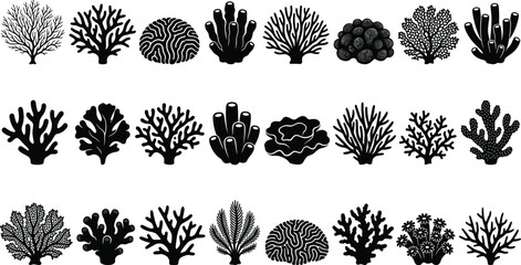 Coral reef silhouettes, underwater sea plants, ocean life, marine biology, aquatic nature, beach, summer, aquarium, isolated, black, white, decorative elements, collection, design. © MstSumi