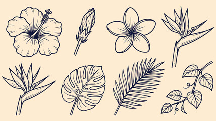 Tropical flowers and leaves hand drawn doodle set with hibiscus bird of paradise monstera palm fern botanical floral vector illustration © jonty