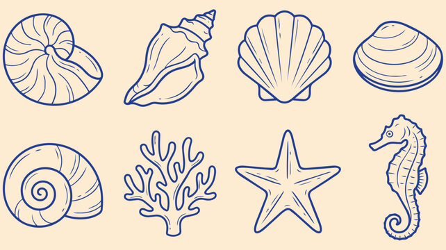 Sea shells collection hand drawn doodle set with nautilus shell scallop coral starfish seahorse ocean coastal marine vector illustration