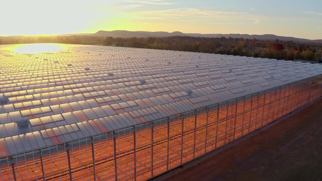 Drone shot showing a greenhouse farming facility wit the sun rising over the hills in slow motion 4K