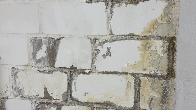 damp basement wall with peeling paint