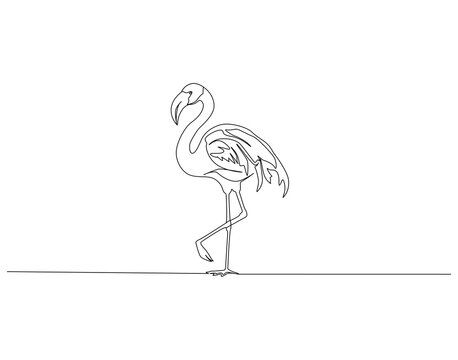 Flamingo continuous line. Continuous one line drawing of flamingo. Flamingo bird concept. Single line drawing