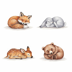 Fototapeta premium Fox, rabbit, deer, and bear cubs are depicted in a peaceful slumber within this artistic wildlife illustration set.