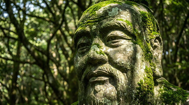 Ancient Stone Statue of a Wise Asian Monk Covered in Green Moss