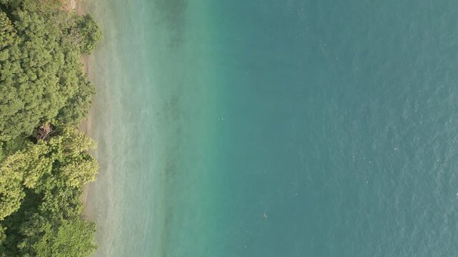 Overhead Aerial Along Tropical Sandbar And Forest Edge Lampung