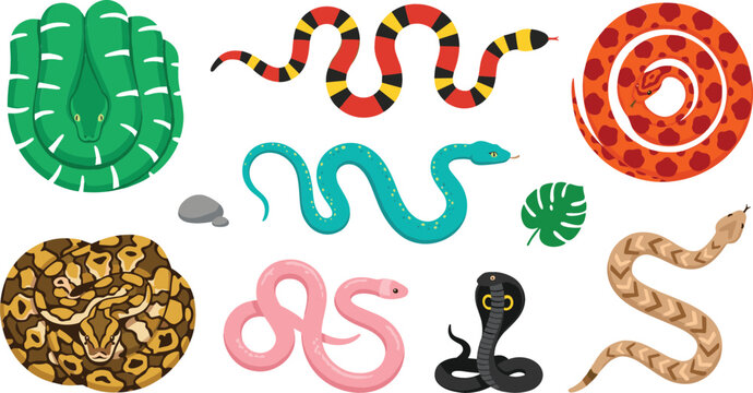 Colorful Cartoon Snake Vector Character Set Featuring Cobra Python Viper and Coral Snakes for Jungle Wildlife Educational Designs and Pattern Backgrounds