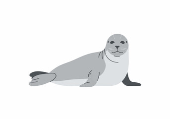 Fototapeta premium Cute Sea Lion Resting on the Beach