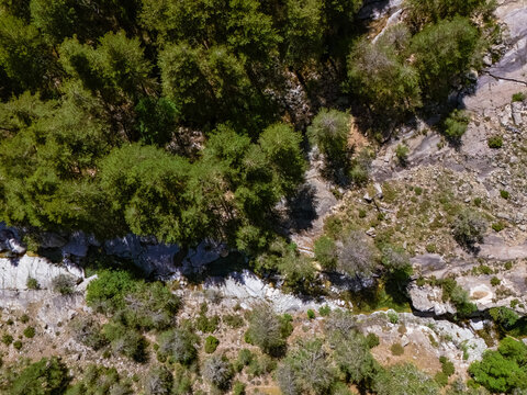 Vivario, Corsica aerial showing forest, river, and rockscape