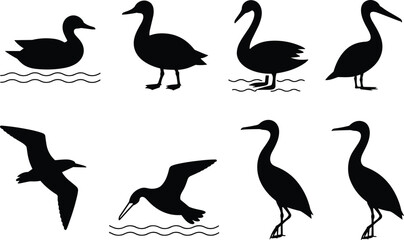 Fototapeta premium Black silhouette icons of water birds in diverse poses including swimming, standing, flying, and diving representing aquatic wildlife and nature concepts