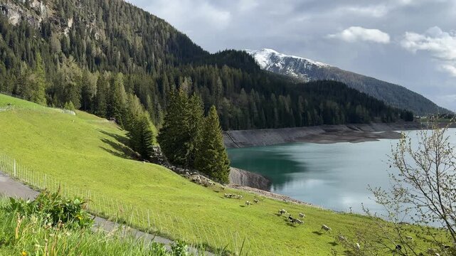 Mountain valley with alpine lake conifer forest and rocky peaks Davos Switzerland video